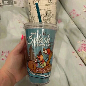 Splash Mountain Tumbler NWT